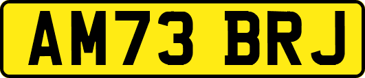 AM73BRJ