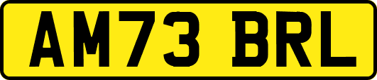 AM73BRL