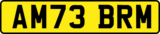 AM73BRM