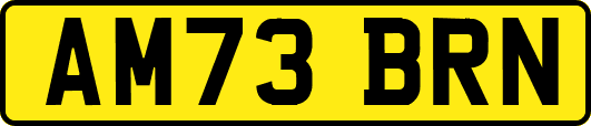AM73BRN