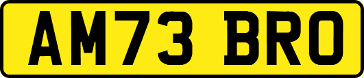 AM73BRO