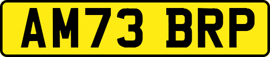 AM73BRP