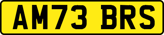 AM73BRS