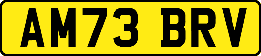 AM73BRV