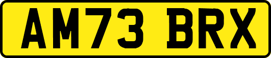 AM73BRX