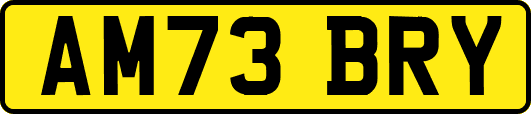 AM73BRY