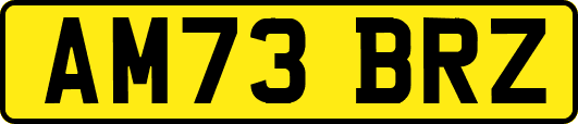 AM73BRZ