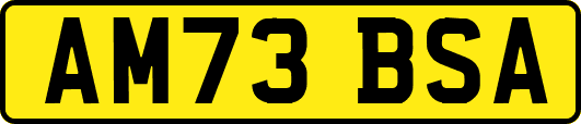 AM73BSA