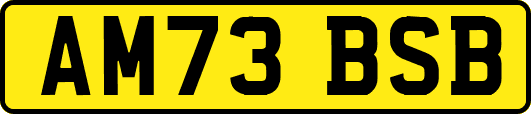 AM73BSB