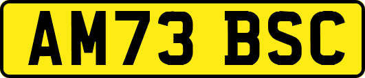 AM73BSC