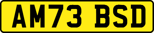 AM73BSD