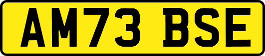 AM73BSE