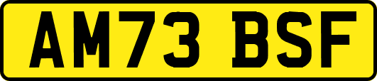 AM73BSF