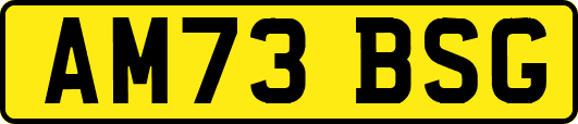 AM73BSG
