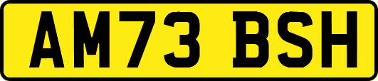AM73BSH