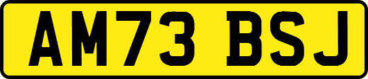 AM73BSJ