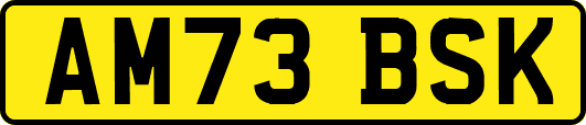 AM73BSK