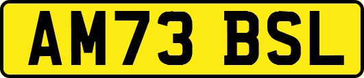 AM73BSL
