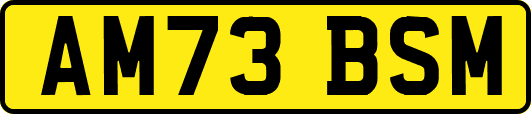 AM73BSM