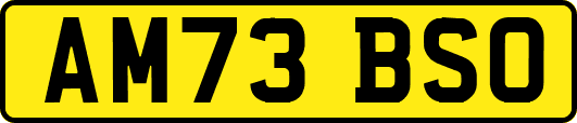 AM73BSO