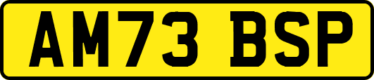 AM73BSP
