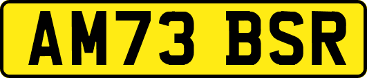 AM73BSR