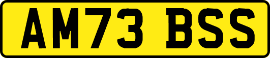 AM73BSS