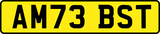 AM73BST