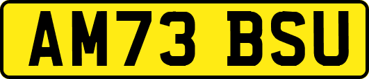 AM73BSU