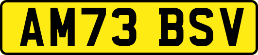AM73BSV