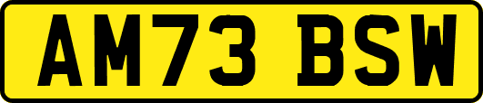 AM73BSW