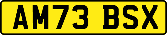 AM73BSX
