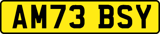 AM73BSY