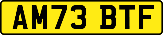 AM73BTF