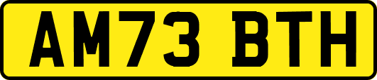 AM73BTH