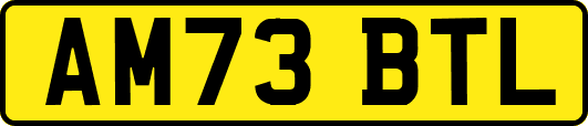 AM73BTL