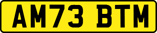 AM73BTM