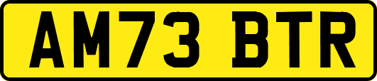 AM73BTR