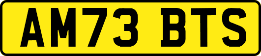 AM73BTS