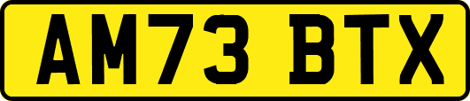 AM73BTX