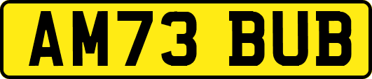 AM73BUB
