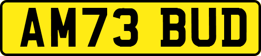AM73BUD