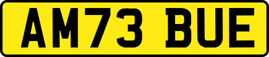 AM73BUE