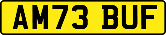 AM73BUF