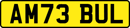 AM73BUL