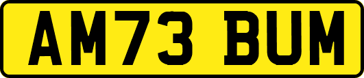 AM73BUM