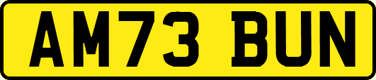 AM73BUN