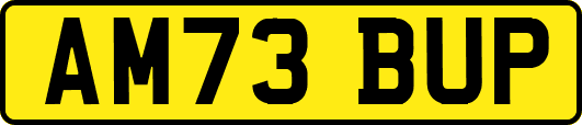 AM73BUP