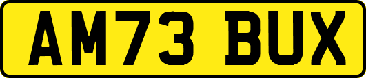AM73BUX