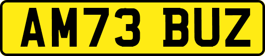 AM73BUZ